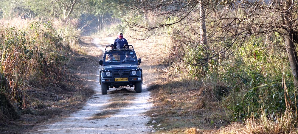 dhikala safari zone