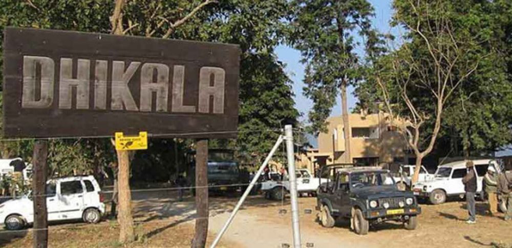 dhikala safari zone